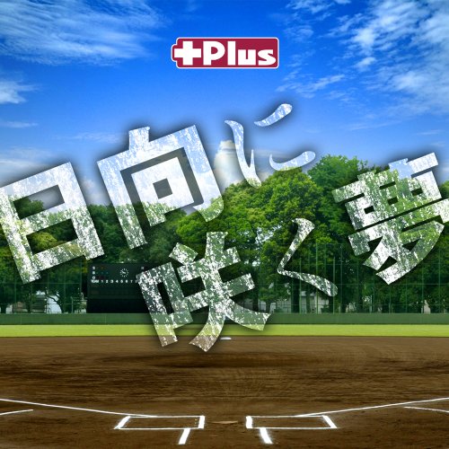 日向に咲く夢 [CD] +Plus
