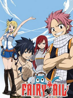 FAIRY TAIL 6 [DVD] [DVD]