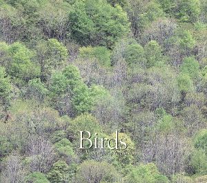 α波 1/fのゆらぎ 小鳥のハ [CD] 特殊企画