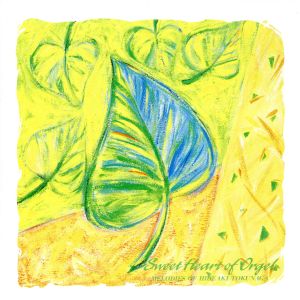 徳永英明作品集 [CD] オルゴール