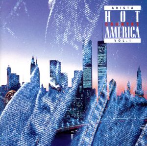 ARISTAホット・カントリー・アメリカVol.1 [CD] オムニバス; ブルックス&ダン