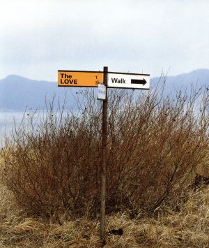 walk [CD] The LOVE 平義隆; トミタユズル