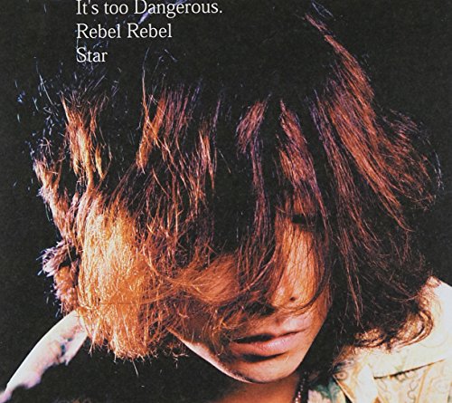 危険すぎる [CD] 浅井健一 浅井健一 デヴィッド・ボウイ; 浅井健一