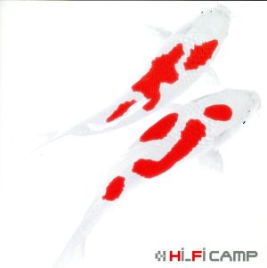 恋 [CD] Hi-Fi CAMP