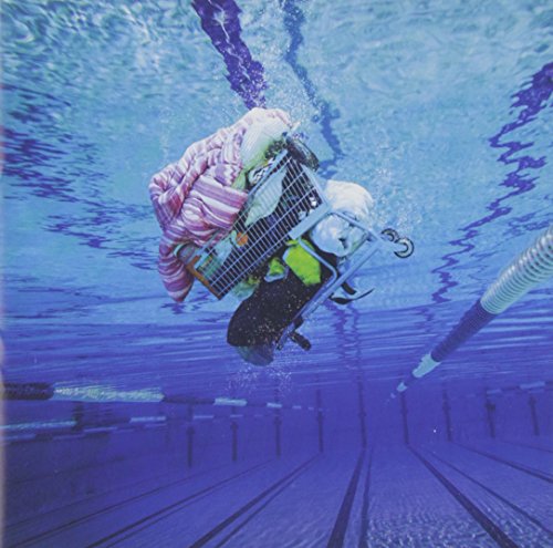 Ciao， Fake Kings [CD] WHITE ASH