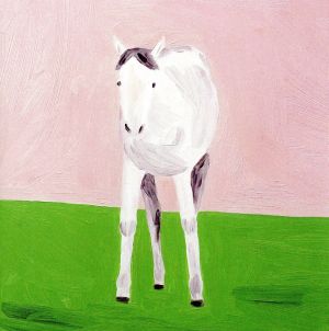 色彩 [CD] Polaris