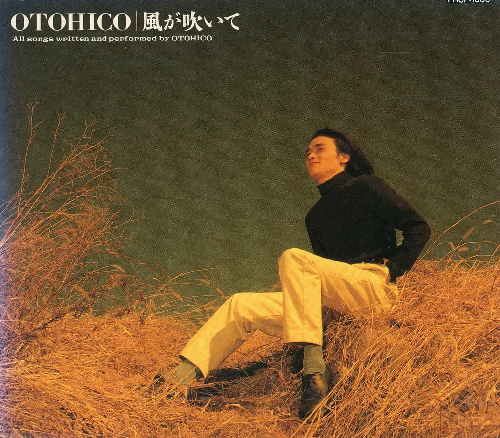 風が吹いて [CD] 田原音彦