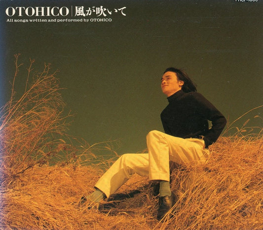 風が吹いて [CD] 田原音彦