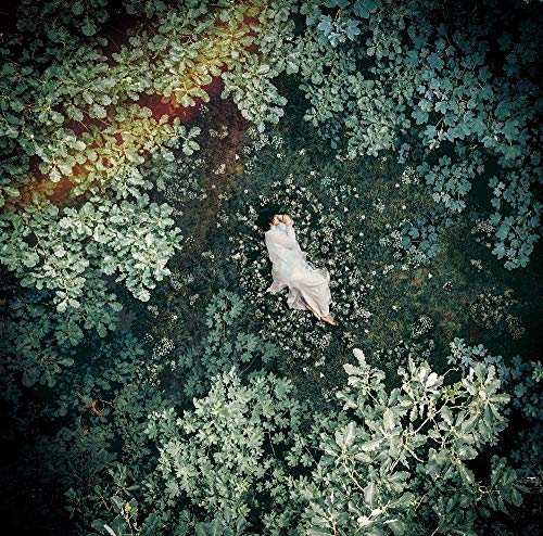 スターライトキセキ/Ark (初回限定盤B) [CD] 天月-あまつき-