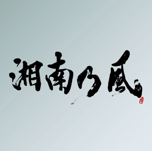 裏BEST“銀”盤（2CD） 『湘南乃風 ～ Live Set Best ～』 [CD] 湘南乃風
