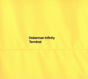 TERMINAL(初回限定盤)(CD+2DVD) [CD] DOBERMAN INFINITY