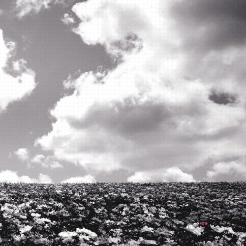 花の名 [CD] BUMP OF CHICKEN 藤原基央; BUMP OF CHICKEN