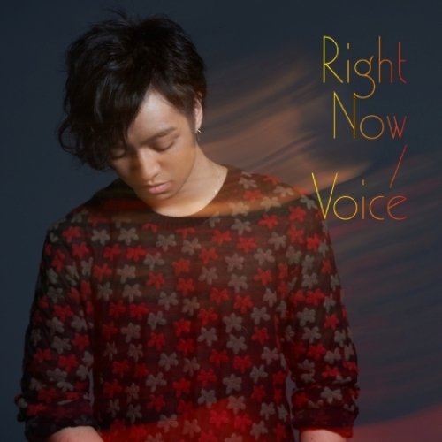 Right Now/Voice (外付け特典なし) [CD] 三浦大知