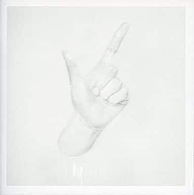 V(DVD付) [CD] TRIPLANE