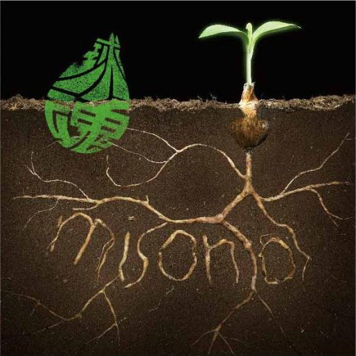 球魂/cm(DVD付) [CD] misono