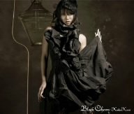 Black Cherry (DVD付) [CD] 倖田來未 Bro.KORN h-wonder ANDREAO“FANATIC”HEARD; THE CONGLOMERATE