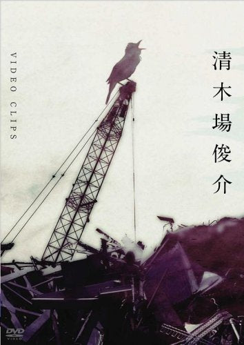 VIDEO CLIPS [DVD] [DVD] [2008]