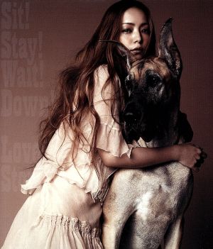 Sit! Stay! Wait! Down!/Love Story - 安室奈美恵 [CD] 安室奈美恵
