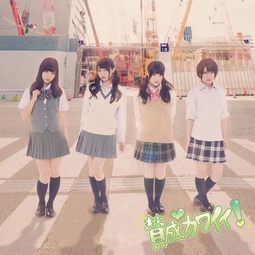 賛成カワイイ! (CD+DVD) (Type-C) (初回盤) [CD] SKE48