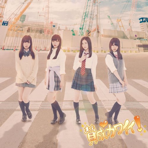 賛成カワイイ! (CD+DVD) (Type-D) (初回盤) [CD] SKE48