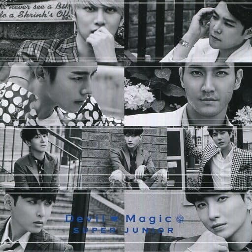 Ｄｅｖｉｌ／Ｍａｇｉｃ（Ｅ．Ｌ．ＦＪＡＰＡＮ盤）（ＤＶＤ付） [CD] SUPER JUNIOR