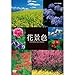 花景色 ～四季を彩る 日本の名風景～【NHKスクエア限定商品】 [DVD]