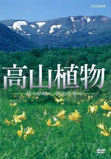 高山植物 ～花々が咲く名山を歩く～【NHKスクエア限定商品】 [DVD]