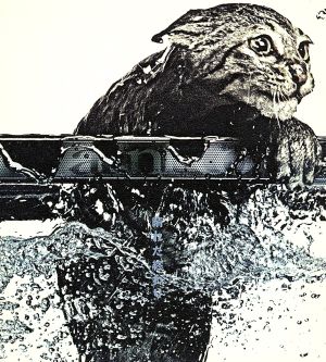晴れた終わり [CD] al.ni.co 上杉昇 柴崎浩; 鈴木ミチアキ