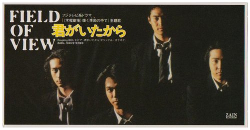 君がいたから [CD] FIELD OF VIEW 坂井泉水 浅岡雄也 葉山たけし 安部潤; カラオケ