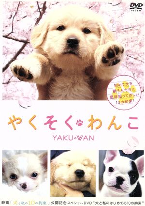 やくそくわんこ [DVD] [DVD]
