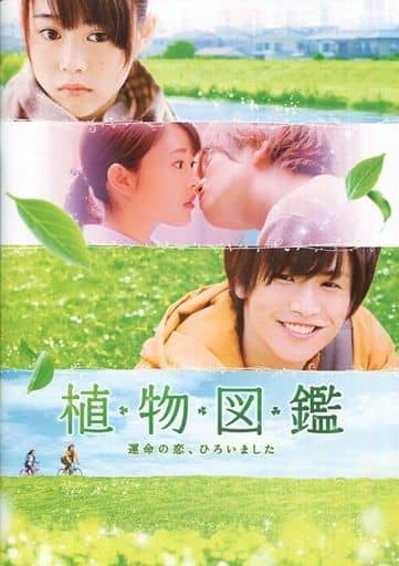 【映画パンフレット】 植物図鑑 運命の恋、ひろいました