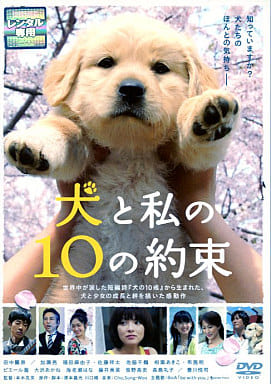 犬と私の10の約束[レンタル落ち] [DVD]
