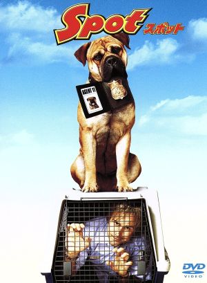 スポット [DVD] [DVD]