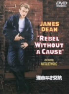 理由なき反抗 特別版 [DVD] [DVD]
