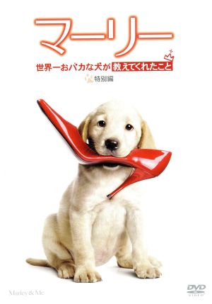 マーリー 世界一おバカな犬が教えてくれたこと (特別編) [DVD] [DVD]