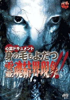 心霊ドキュメント 身の毛もよだつ 霊魂結界現象!! [DVD] [DVD]