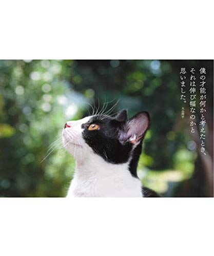 誰にニャンと言われようが好きに生きる！ - 赤家 広行 surprisebook(サプライズブック) [新書] 赤家 広行