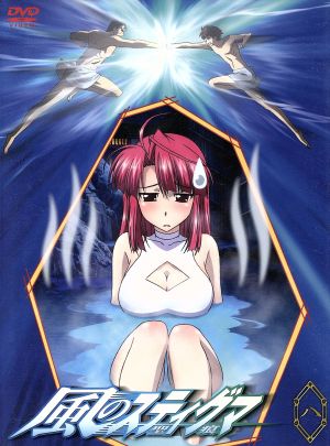 風のスティグマ S・エディション 第8章(限定版) [DVD] [DVD]