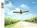 Life [CD] Des'ree