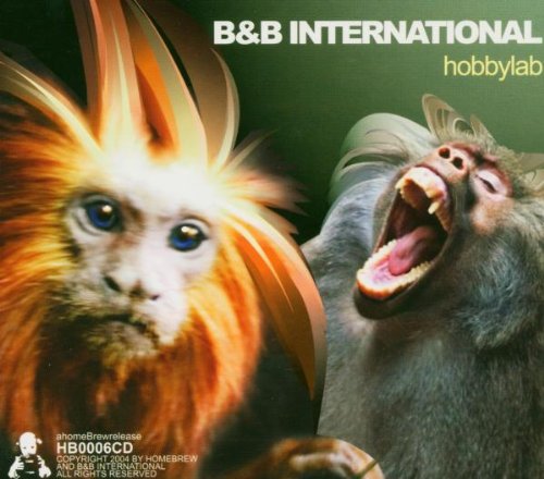 Hobbylab [CD] B&B International