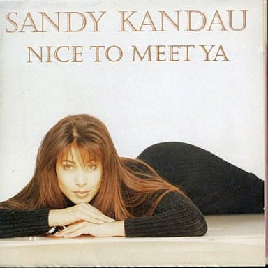 Nice To Meet Ya [CD]