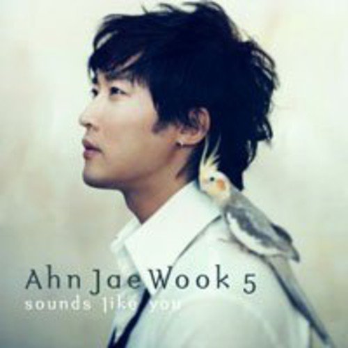 アン・ジェウク 5集 - Sounds like you(韓国盤) [CD] アン・ジェウク; アン・ジェウク