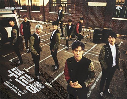 1st ミニアルバム - Burning Sensation(韓国盤) [CD] SF9