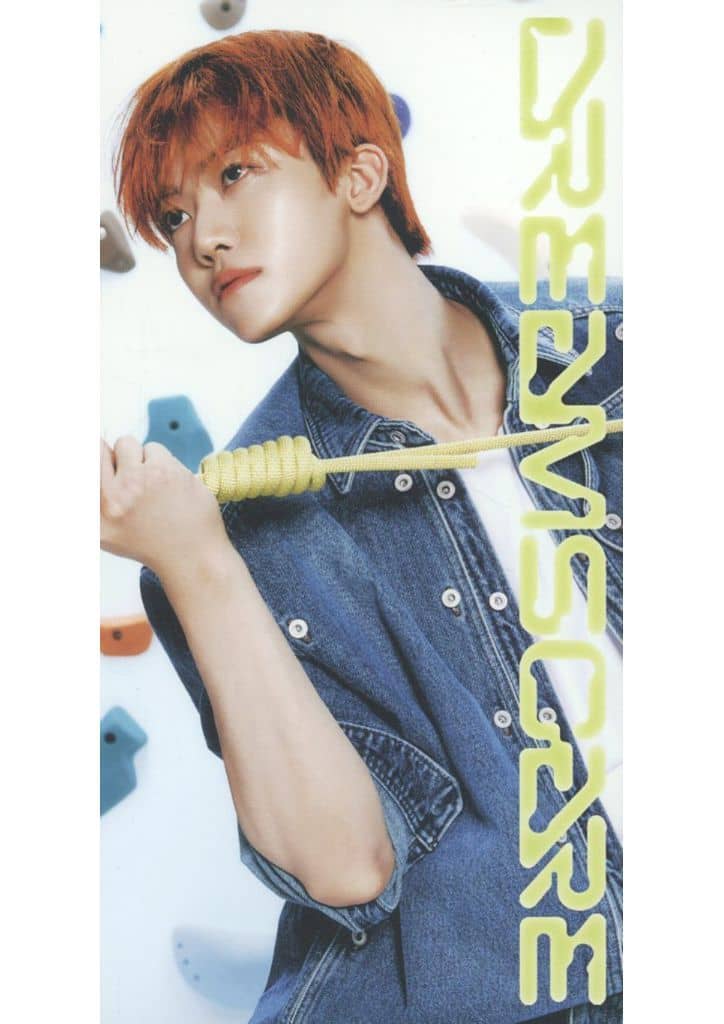 NCT DREAM [DREAMSCAPE (Vertical Flip Ver.)]（韓国盤）*MINI CD-R [CD] NCT DREAM