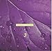 3集(韓国盤) [CD] ワックス