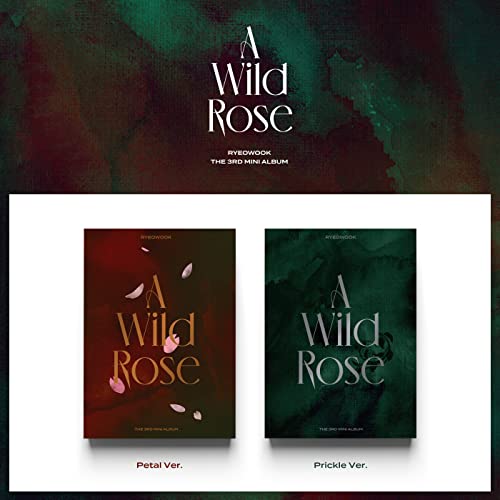 A Wild Rose(韓国盤) [CD] RYEOWOOK (Super Junior)