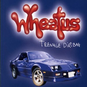 Teenage Dirtbag [CD]