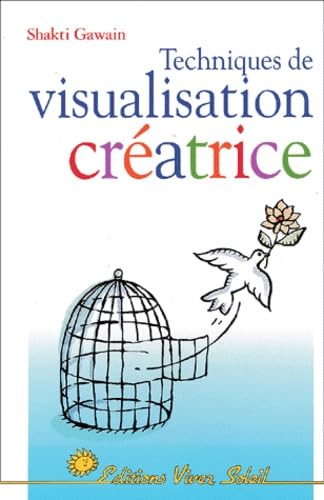 Techniques de visualisation cratrice [ペーパーバック]