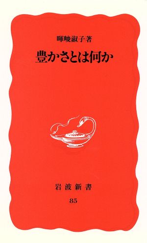 豊かさとは何か (岩波新書 新赤版 85) 暉峻 淑子
