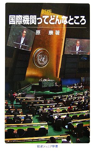 国際機関ってどんなところ (岩波ジュニア新書 570) 原 康